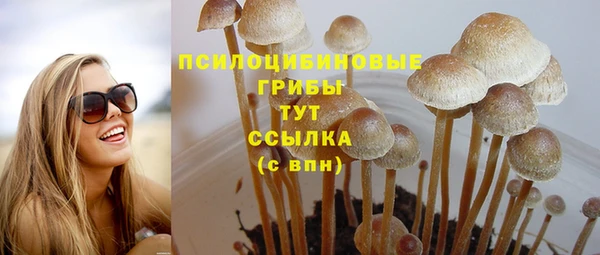 каннабис Гусиноозёрск