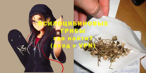 амфетамин Гусев